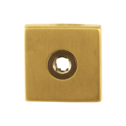 GPF1100021P4 PVD MAT MESSING, VIERKANTE CLICK ROZET 50X50X8MM