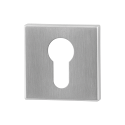 GPF090202108 RVS GEBORSTELD, CILINDERROZET VIERKANT 50X50X8MM