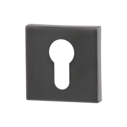 GPF0902021P1 PVD ANTRACIET, CILINDERROZET VIERKANT 50X50X8MM