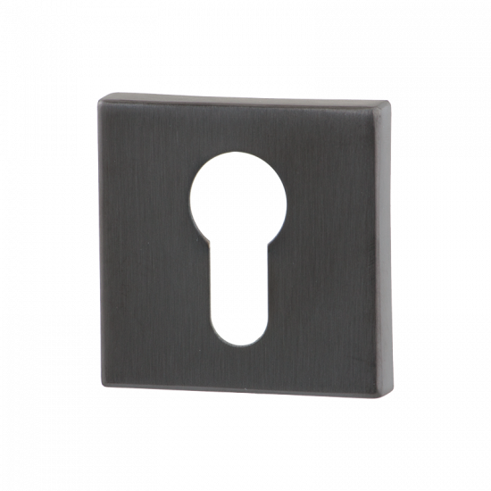 GPF0902.02P1 PVD ANTRACIET CILINDERROZET VIERKANT 50X50X8MM GPF0902.02P1 PVD ANTRACIET CILINDERROZET VIERKANT 50X50X8MM