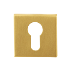 GPF0902021P4 PVD MAT MESSING, CILINDERROZET VIERKANT 50X50X8MM