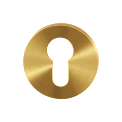 GPF0902001P4 PVD MAT MESSING, CILINDERROZET ROND 50X8MM