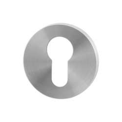 GPF090205108 RVS GEBORSTELD, CILINDERROZET ROND 50X6MM