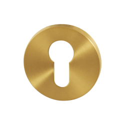 GPF0902VR108P4 PVD MAT MESSING, CILINDERROZET 53X6,5MM