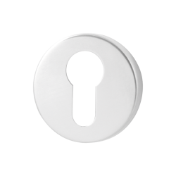 GPF090245107 RVS GEPOLIJST, CILINDERROZET ROND 50X6MM