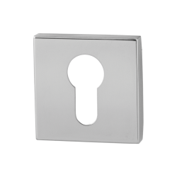 GPF090242108 RVS GEPOLIJST, CILINDERROZET VIERKANT 50X50X8MM