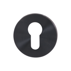 GPF0902VR108P1 PVD ANTRACIET, CILINDERROZET 53X6,5MM