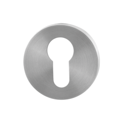 GPF090200108 RVS GEBORSTELD, CILINDERROZET ROND 50X8MM