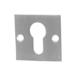 GPF090208108 RVS GEBORSTELD, CILINDERROZET PLAT VIERKANT 50X50X2MM