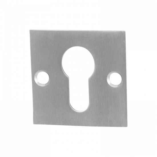 GPF0902.08 RVS GEBORSTELD CILINDERROZET VIERKANT 50X50X2MM GPF0902.08 RVS GEBORSTELD CILINDERROZET VIERKANT 50X50X2MM
