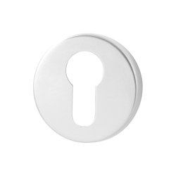 GPF090240108 RVS GEPOLIJST, CILINDERROZET ROND 50X8MM