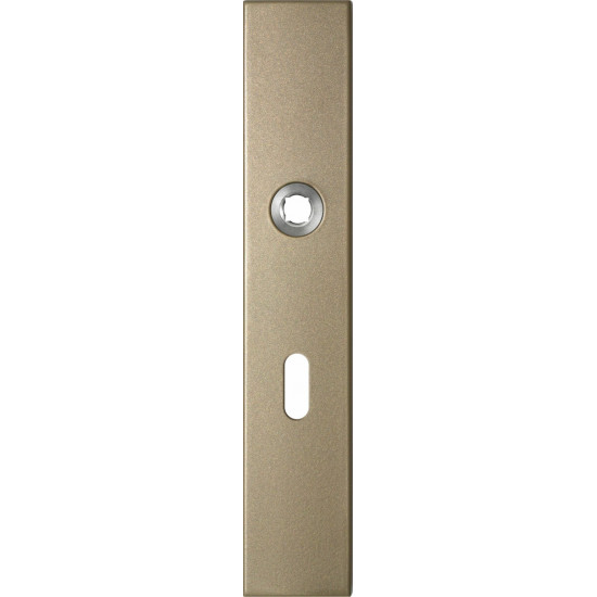 GPF1125.A4R LANGSCHILD RECHTHOEKIG BB56 RECHTSDRAAIEND 218X40X8,5MM CH