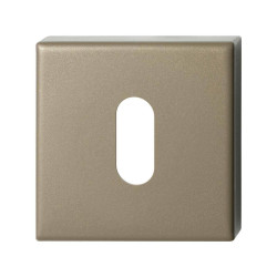 GPF1102A40901 CHAMPAGNE BLEND, SLEUTELROZET 50X50X8 MM GPF1102A40901 CHAMPAGNE BLEND, SLEUTELROZET 50X50X8 MM