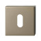 GPF1102A40901 CHAMPAGNE BLEND, SLEUTELROZET 50X50X8 MM