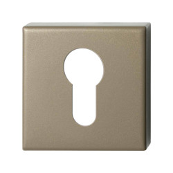 GPF1102A40902 CHAMPAGNE BLEND, CILINDERROZET VIERKANT 50X50X8 MM GPF1102A40902 CHAMPAGNE BLEND, CILINDERROZET VIERKANT 50X50X8 MM