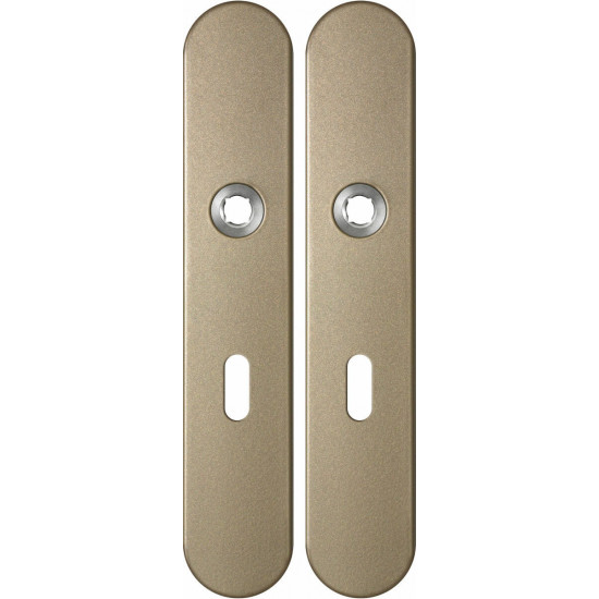 GPF1120.A4 LANGSCHILD AFGEROND BB56 218X40X8,5MM CHAMPAGNE BLEND