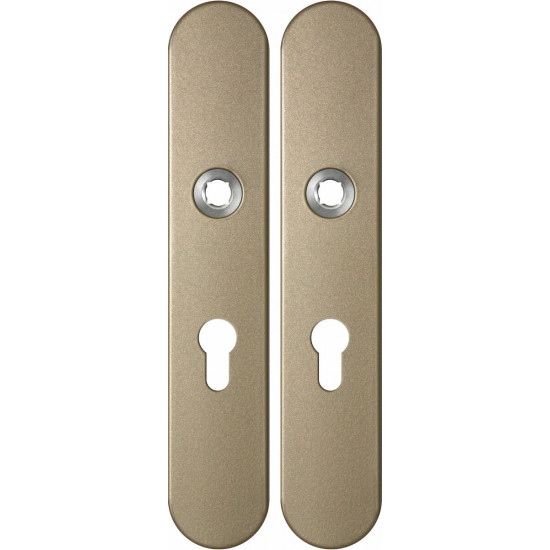 GPF1120.A4 LANGSCHILD AFGEROND PC55 218X40X8,5MM CHAMPAGNE BLEND