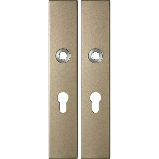 GPF1125.A4 LANGSCHILD RECHTHOEKIG PC55 218X40X8,5MM CHAMPAGNE BLEND