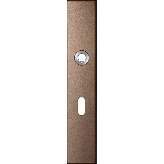 GPF1125.A2R LANGSCHILD RECHTHOEKIG BB56 RECHTSDRAAIEND 218X40X8,5MM BR