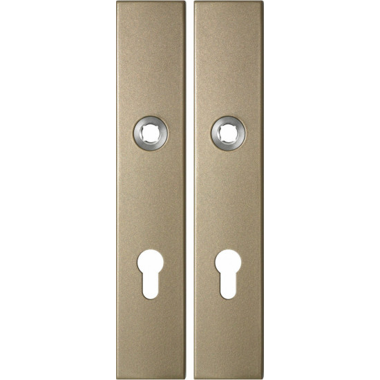 GPF1125.A4 LANGSCHILD RECHTHOEKIG PC72 218X40X8,5MM CHAMPAGNE BLEND