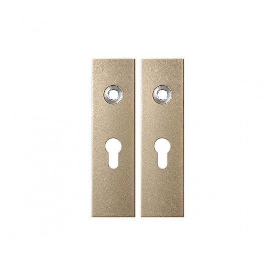 GPF1115.A4 KORTSCHILD RECHTHOEKIG PC55 169X46X8,5MM CHAMPAGNE BLEND