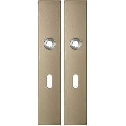 GPF1125A40101 CHAMPAGNE BLEND, LANGSCHILD RECHTHOEKIG ENKELVEREND 218X40X8,5MM BB56