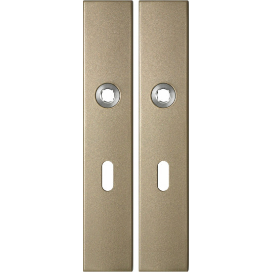 GPF1125.A4 LANGSCHILD RECHTHOEKIG BB56 218X40X8,5MM CHAMPAGNE BLEND