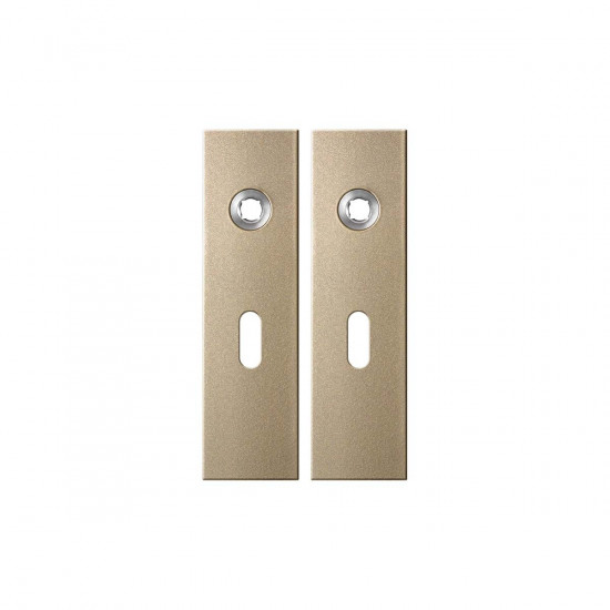 GPF1115.A4 KORTSCHILD RECHTHOEKIG BB56 169X46X8,5MM CHAMPAGNE BLEND