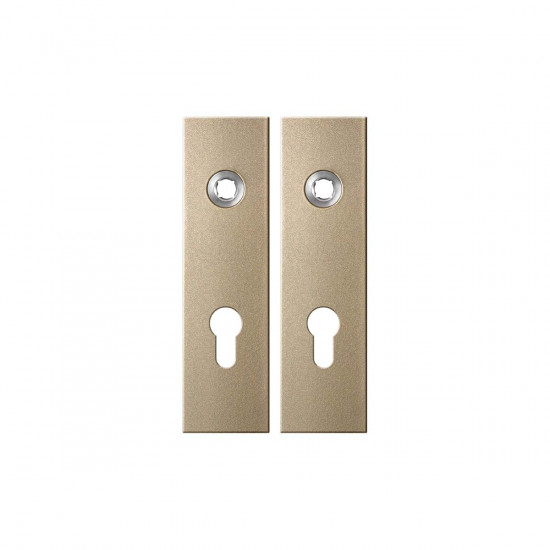GPF1115.A4 KORTSCHILD RECHTHOEKIG PC72 169X46X8,5MM CHAMPAGNE BLEND