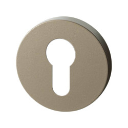 GPF1100A40902 CHAMPAGNE BLEND, CILINDERROZET ROND 50X8 MM