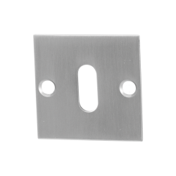 GPF090108107 RVS GEBORSTELD, SLEUTELROZET PLAT VIERKANT 50X50X2MM