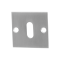 GPF090108107 RVS GEBORSTELD, SLEUTELROZET PLAT VIERKANT 50X50X2MM