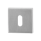 GPF090102107 RVS GEBORSTELD, SLEUTELROZET VIERKANT 50X50X8MM