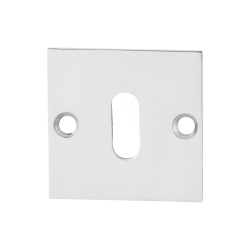 GPF090148107 RVS GEPOLIJST, SLEUTELROZET PLAT VIERKANT 50X50X2MM