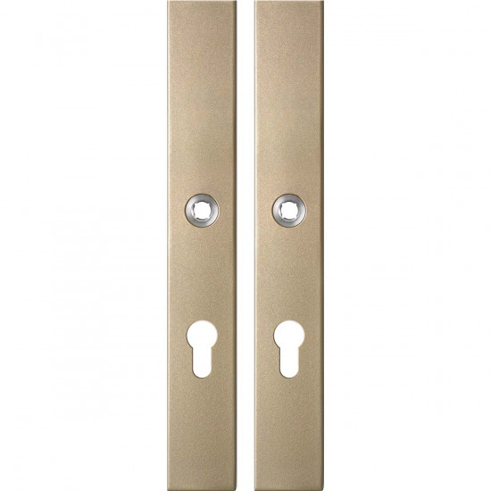 GPF1175.A4 LANGSCHILD RECHTHOEKIG PC72 282X40X8,5MM CHAMPAGNE BLEND