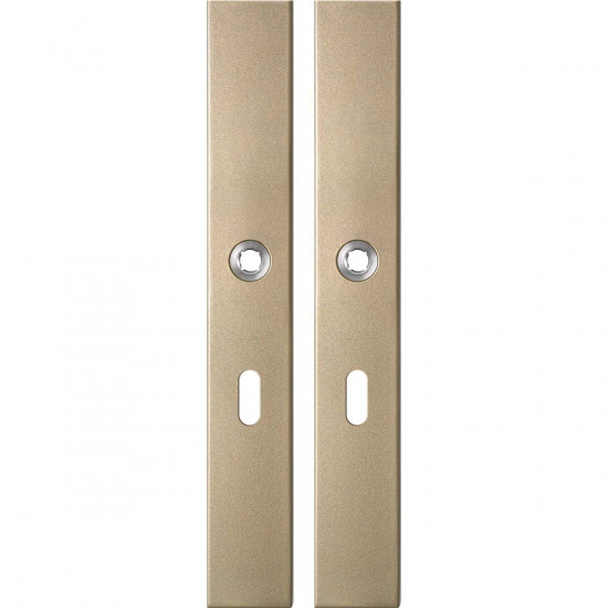 GPF1175.A4 LANGSCHILD RECHTHOEKIG BB56 282X40X8,5MM CHAMPAGNE BLEND