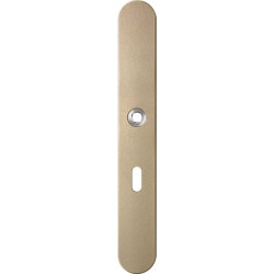 GPF1170A40201 CHAMPAGNE BLEND, GATDEEL LINKS LANGSCHILD AFGEROND 282X40X8,5MM BB56 GPF1170A40201 CHAMPAGNE BLEND, GATDEEL LINKS LANGSCHILD AFGEROND 282X40X8,5MM BB56