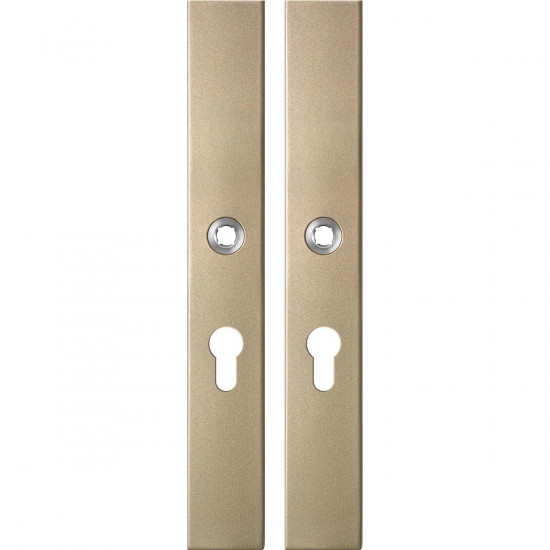 GPF1175.A4 LANGSCHILD RECHTHOEKIG PC55 282X40X8,5MM CHAMPAGNE BLEND