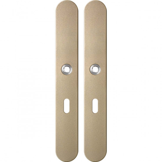 GPF1170.A4 LANGSCHILD AFGEROND BB56 282X40X8,5MM CHAMPAGNE BLEND