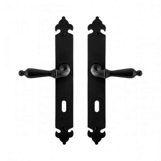 GPF6215.60 SMEEDIJZER ZWART MUKI DEURKRUK OP LANGSCHILD BB72, 291X41X4