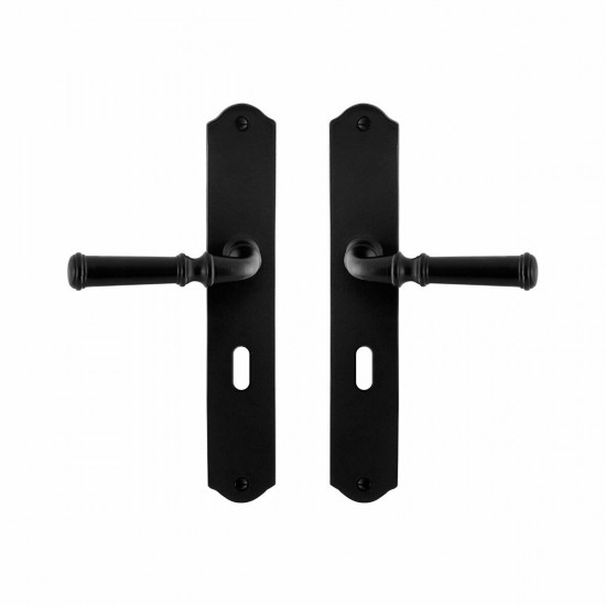 GPF6220.60 SMEEDIJZER ZWART MERI DEURKRUK OP SCHILD BB56, 238X41X4MM