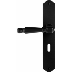 GPF6210600201-22 SMEEDIJZER ZWART, MELA DEURKRUK OP SCHILD SMEEDIJZER ZWART 238X41X4MM LINKS-/RECHTSWIJZEND