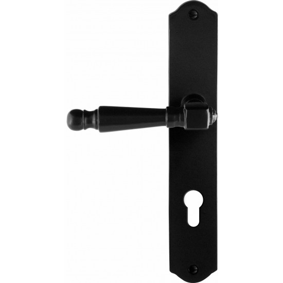 GPF6210.60L/R SMEEDIJZER ZWART MELA DEURKRUK OP SCHILD PC72, 238X41X4M