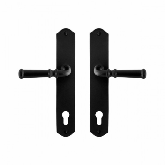 GPF6220.60 SMEEDIJZER ZWART MERI DEURKRUK OP SCHILD PC92, 238X41X4MM