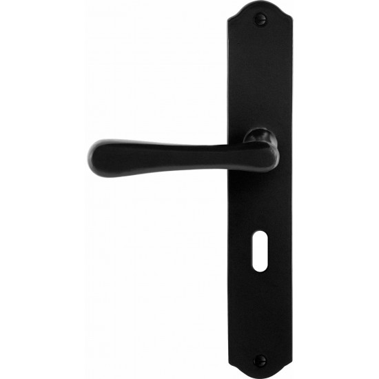 GPF6240.60L/R SMEEDIJZER ZWART PAJU DEURKRUK OP SCHILD BB56, 238X41X4M