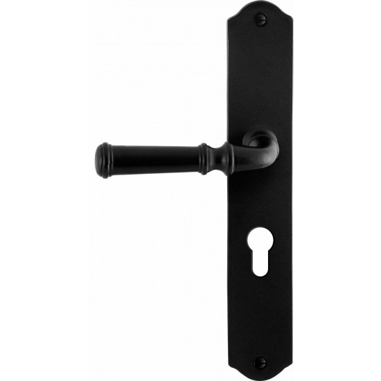 GPF6220.60L/R SMEEDIJZER ZWART MERI DEURKRUK OP SCHILD PC55, 238X41X4M