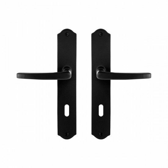 GPF6230.60 SMEEDIJZER ZWART ENO DEURKRUK OP SCHILD BB72, 238X41X4MM
