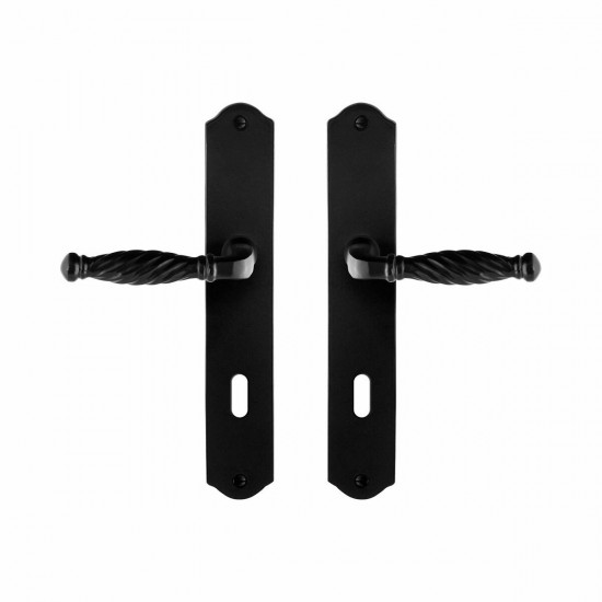GPF6225.60 SMEEDIJZER ZWART TULI DEURKRUK OP SCHILD BB72, 238X41X4MM