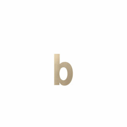GPF9800A40156-B CHAMPAGNE BLEND, LETTER B/ 156 MM