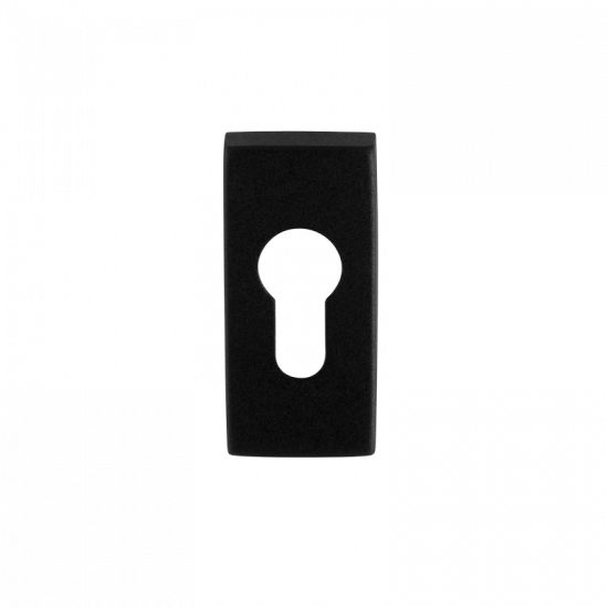 GPF8902.01 ZWART CILINDERROZET RECHTHOEKIG 70X32X10MM GPF8902.01 ZWART CILINDERROZET RECHTHOEKIG 70X32X10MM
